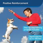 Train Your Dog With The Use Of Positive Reinforcement